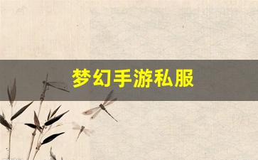 梦幻手游私服(梦幻手游私sf平台) (2)
