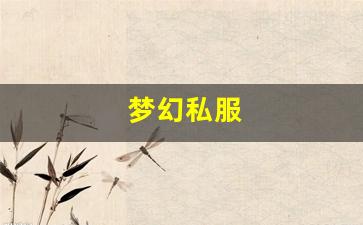 梦幻私服(梦幻手游私sf平台) (2)