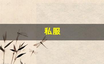 <strong>私服(伺服电机编码器故障及维修)</strong>