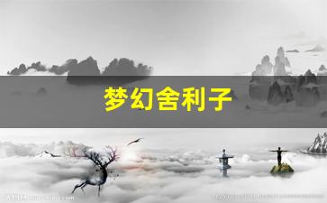 <strong>私服发布网站：梦幻舍利子(梦幻舍利子多少钱一粒) (16)</strong>