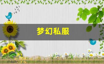 梦幻私服(梦幻手游私sf平台) (18)