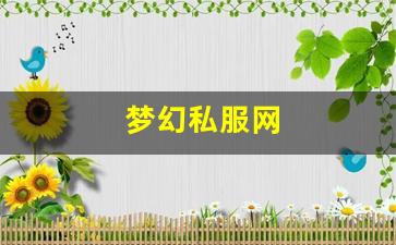 <strong>梦幻私服网 (15)</strong>