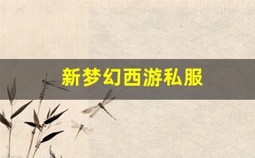 <strong>梦幻西游私服发布：新梦幻西游私服(梦幻西游手游) (5)</strong>