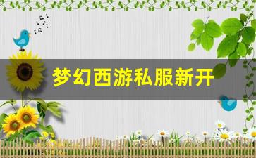 梦幻西游私服：梦幻西游私服新开(梦幻西游手游吧) (4)
