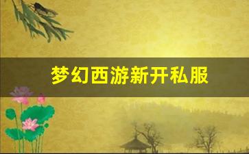 梦幻西游sf发布网站：梦幻西游新开私服 (13)