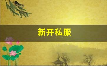 <strong>私服刚开一秒：新开私服(传奇新开服网站大全) (9)</strong>