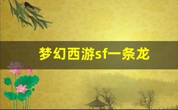 <strong>梦幻西游sf一条龙(梦幻西游龙1是哪)</strong>