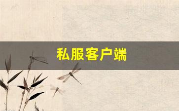 <strong>私服客户端 (3)</strong>